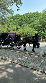 Empire State Horse Carriage Rides in Central Park since 1935