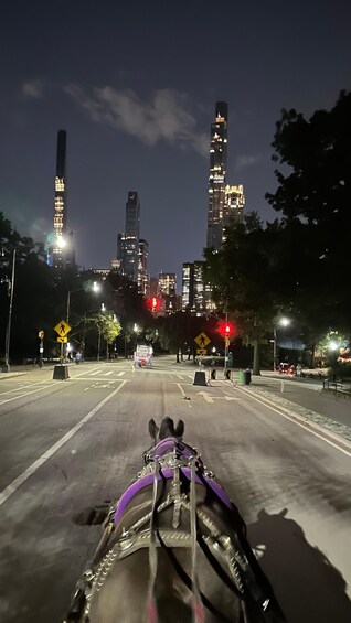 Picture 8 for Activity Empire State Central Park Horses Carriage Rides