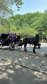 NYC Empire State Horse Carriage Rides (Central Park tour)
