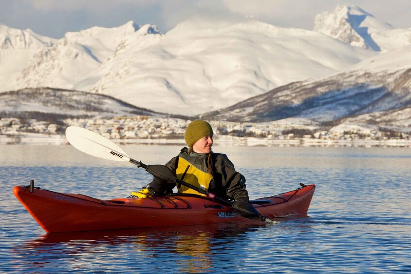 Picture 4 for Activity Tromsø: Winter Sea Kayaking Tour with Wildlife Sightings