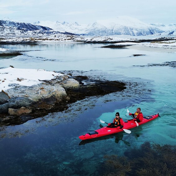 Picture 8 for Activity Tromsø: Winter Sea Kayaking Tour with Wildlife Sightings