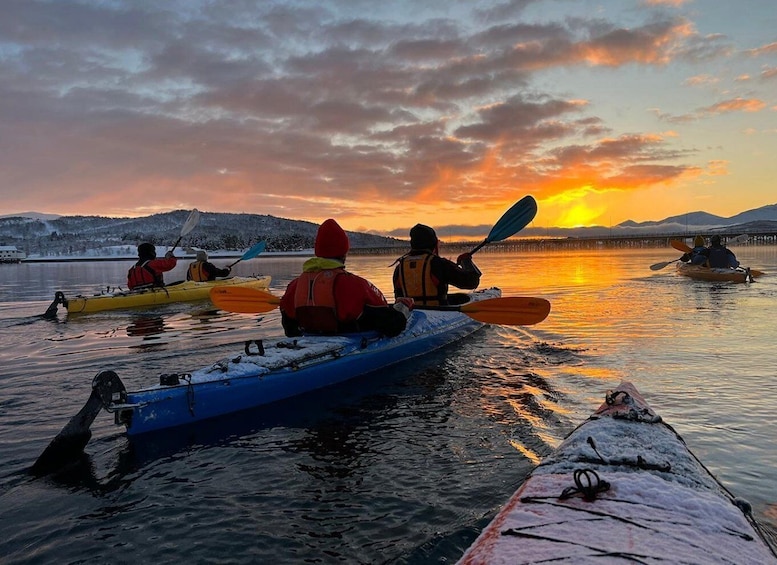 Picture 3 for Activity Tromsø: Winter Sea Kayaking Tour with Wildlife Sightings