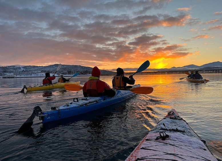 Picture 3 for Activity Tromsø: Winter Sea Kayaking Tour with Wildlife Sightings