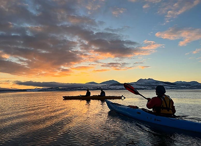 Picture 1 for Activity Tromsø: Winter Sea Kayaking Tour with Wildlife Sightings