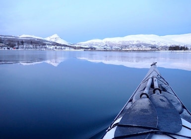 Tromsø: Winter Sea Kayaking Tour with Wildlife Sightings