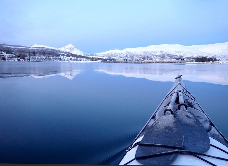 Tromsø: Winter Sea Kayaking Tour with Wildlife Sightings