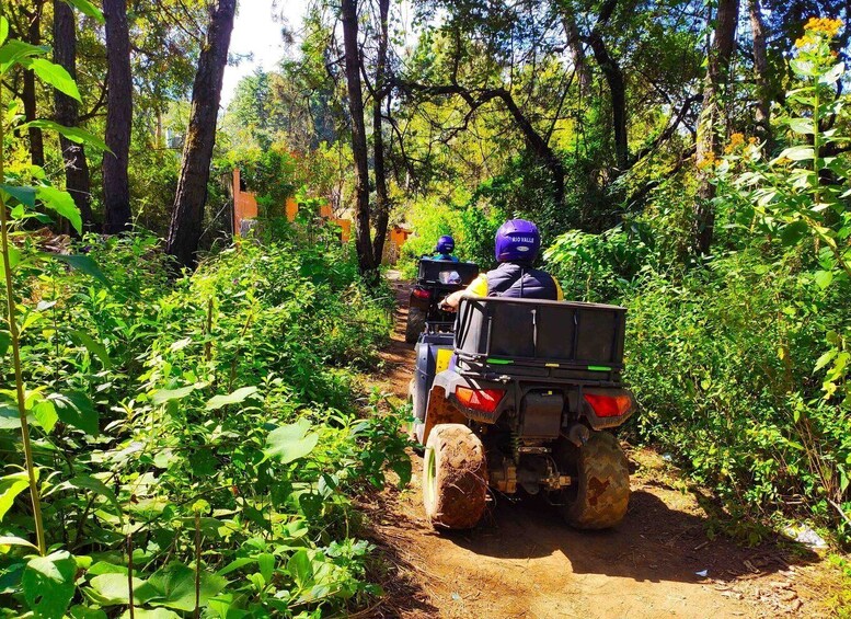 Picture 2 for Activity Valle de Bravo: ATV Tour