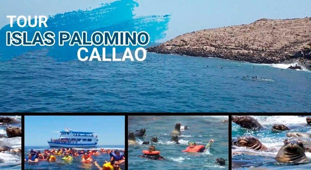 From Lima: Palomino Islands
