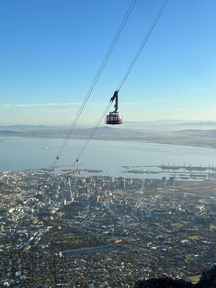 Picture 8 for Activity Table Mountain & Cape Of Good Hope & Penguins full Day