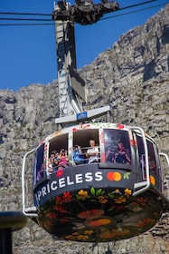 Montaña de la Mesa, Cabo de Buena Esperanza, Pingüinos, Excursión de día co...
