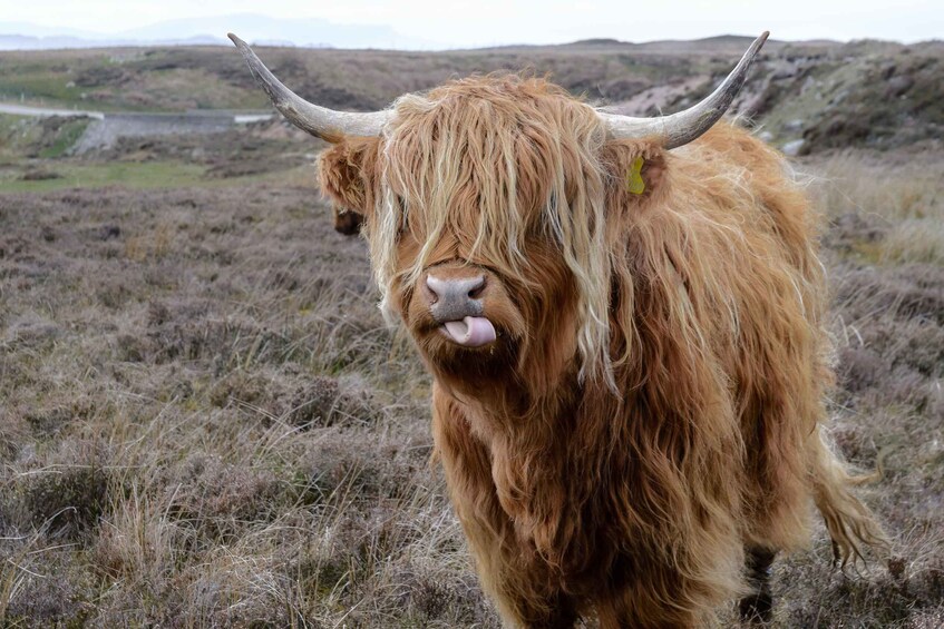 Picture 1 for Activity Hill & Nature Hike - Discover Real Edinburgh With a Local