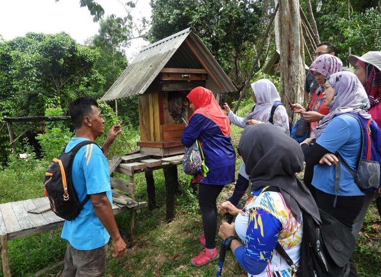 Picture 2 for Activity Johor: Belungkor Hill Hiking Tour