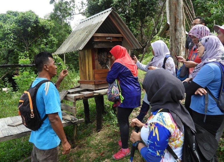 Picture 2 for Activity Johor: Belungkor Hill Hiking Tour
