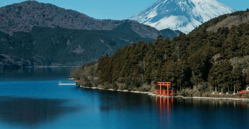 Dari Tokyo: Tur Khusus Hakone selama 10 jam
