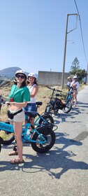 Naxos: Private E-Bike Tour with Farm Lunch Aegean Lush