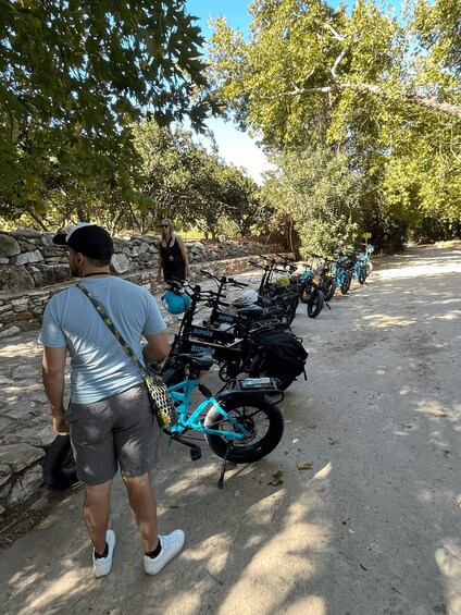 Picture 14 for Activity Naxos: E-Bike Guided Tour with Light Farmyard Lunch