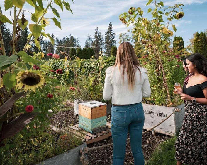 Picture 5 for Activity Kelowna: Love Local! Foodie tour on winery farm with lunch!