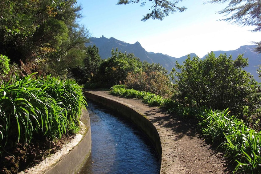 Picture 2 for Activity Levada Boa Morte - Quinta Grande Half day - Easy Walk