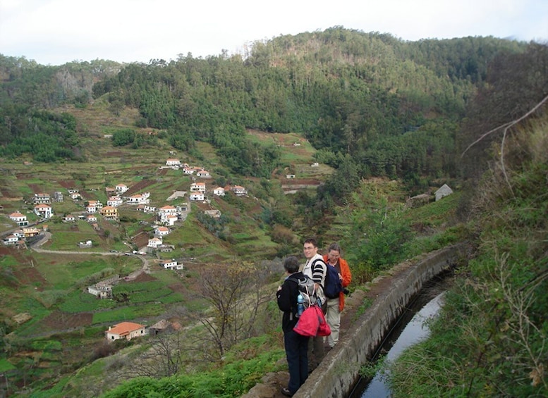 Picture 5 for Activity Levada Boa Morte - Quinta Grande Half day - Easy Walk