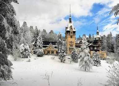 Transsylvanien-resor: Upptäck Draculas slott och kungliga Peles