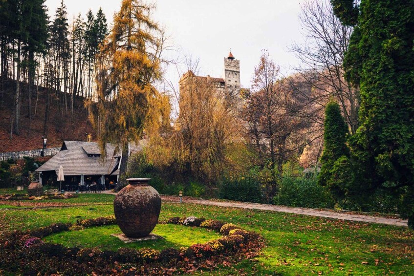 Picture 2 for Activity Transylvania Tours: Discover Dracula’s Castle & Royal Peles