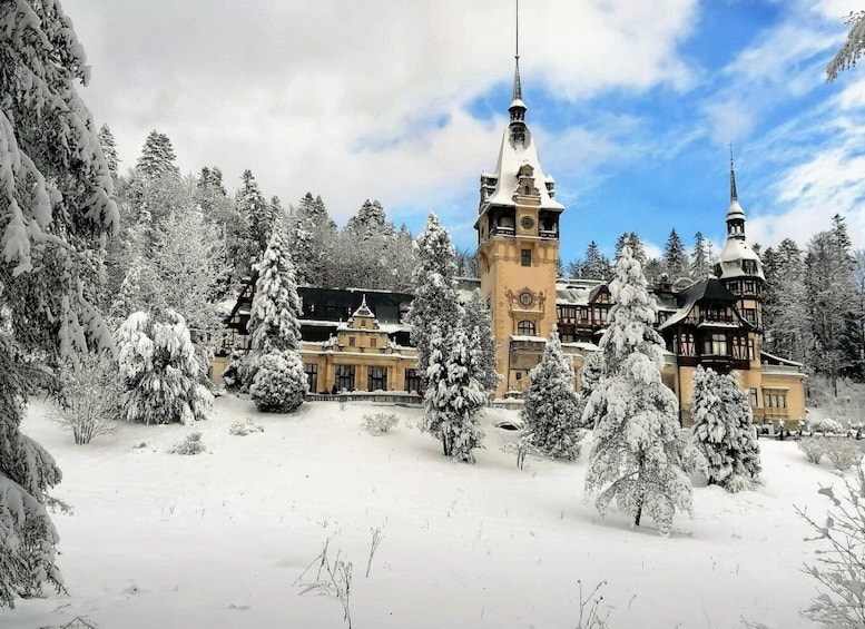 Peles Castle and Dracula Castle in a Private Day Trip