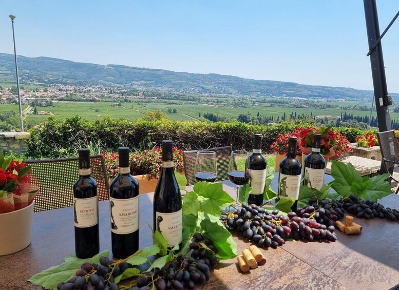Picture 1 for Activity Valpolicella: wine tasting on a spectacular terrace