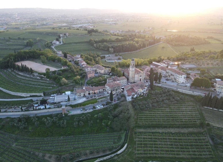 Picture 5 for Activity Valpolicella: wine tasting on a spectacular terrace