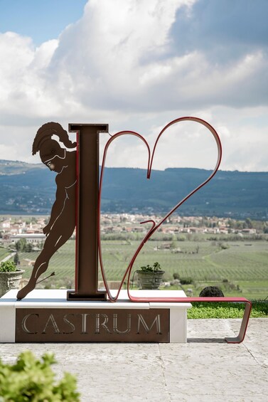 Picture 10 for Activity Valpolicella: wine tasting on a spectacular terrace