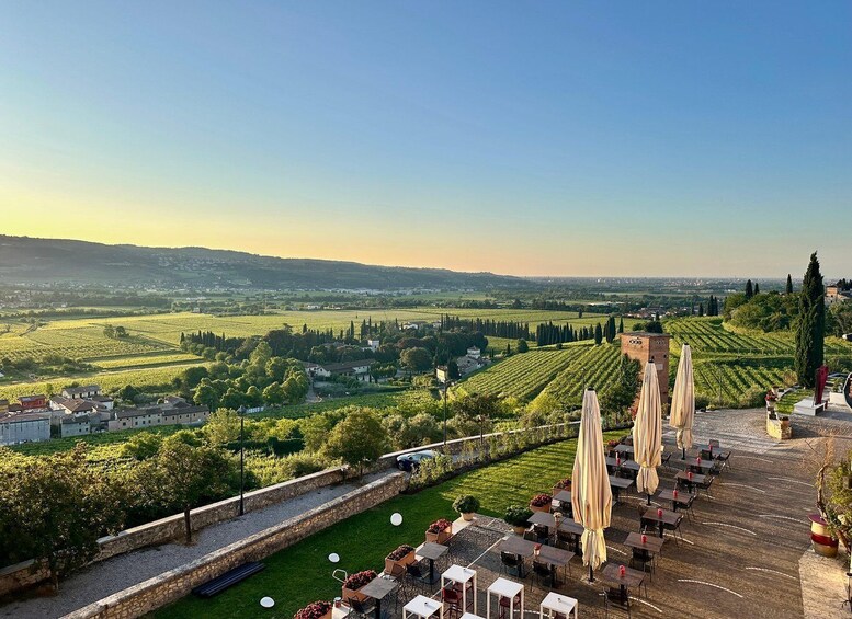Picture 10 for Activity Valpolicella: wine tasting on a spectacular terrace
