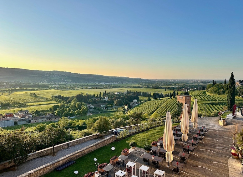 Picture 10 for Activity Valpolicella: wine tasting on a spectacular terrace