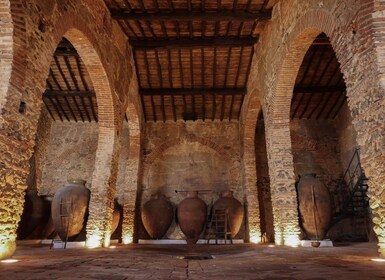 Grande Prova Honrado Vineyards