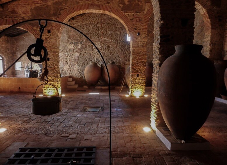 Picture 2 for Activity Grande Prova Honrado Vineyards