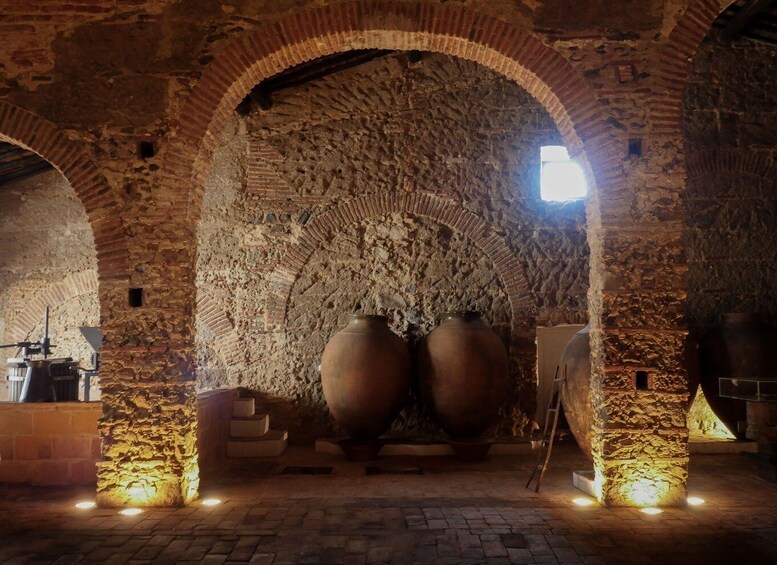 Picture 3 for Activity Grande Prova Honrado Vineyards