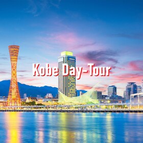 Dari Osaka: Tur Khusus Pribadi 10 jam ke Kobe