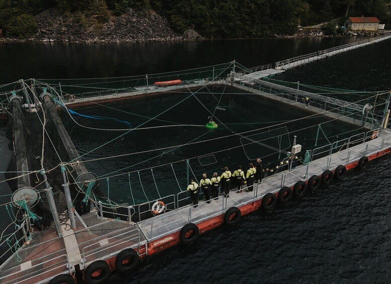 Picture 5 for Activity Vist a Fish Farm in Hardanger, Guided tour, with RIB-boat.