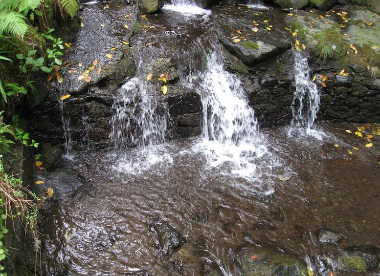 Picture 1 for Activity Queimadas Caldeirao Verde Full day hike