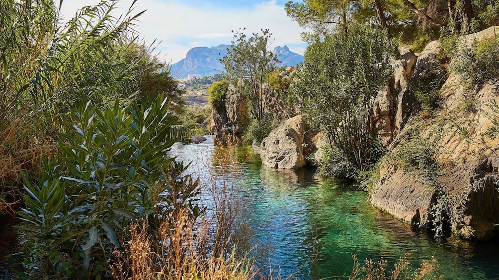 Picture 15 for Activity From Alicante/Benidorm: Guadalest and Algar Waterfalls Tour