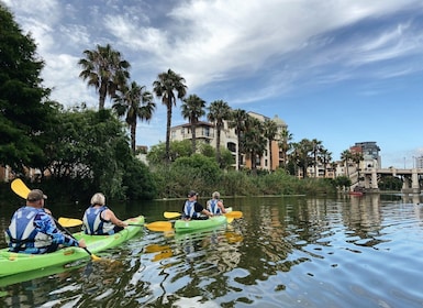 Intaka Island Kayak Tour