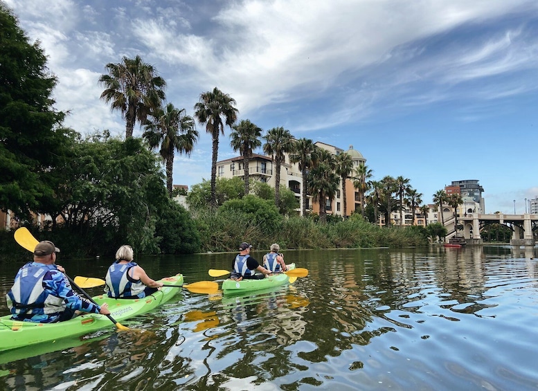 Intaka Island Kayak Tour