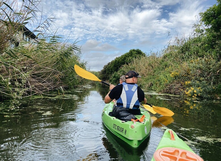 Picture 2 for Activity Intaka Island Kayak Tour