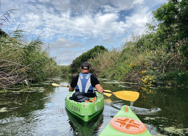 Picture 1 for Activity Intaka Island Kayak Tour