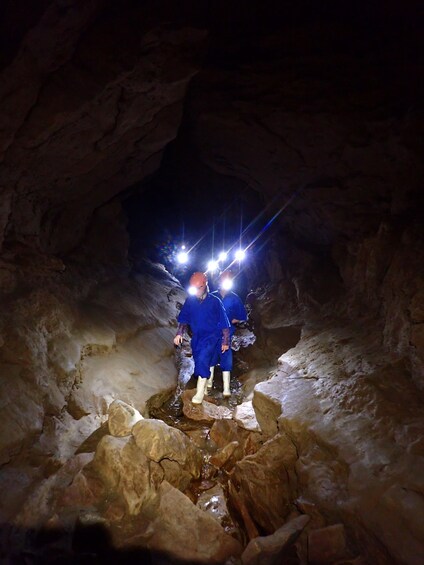 Picture 1 for Activity Raglan: Guided Cave Adventure with Glow Worms