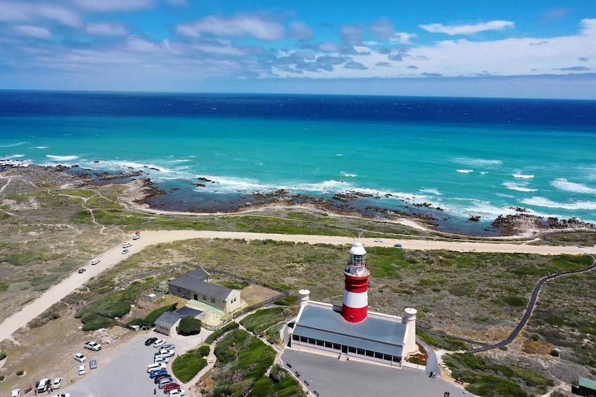 Picture 8 for Activity Cape Agulhas Full Day Tour | The Southernmost Tip of Africa