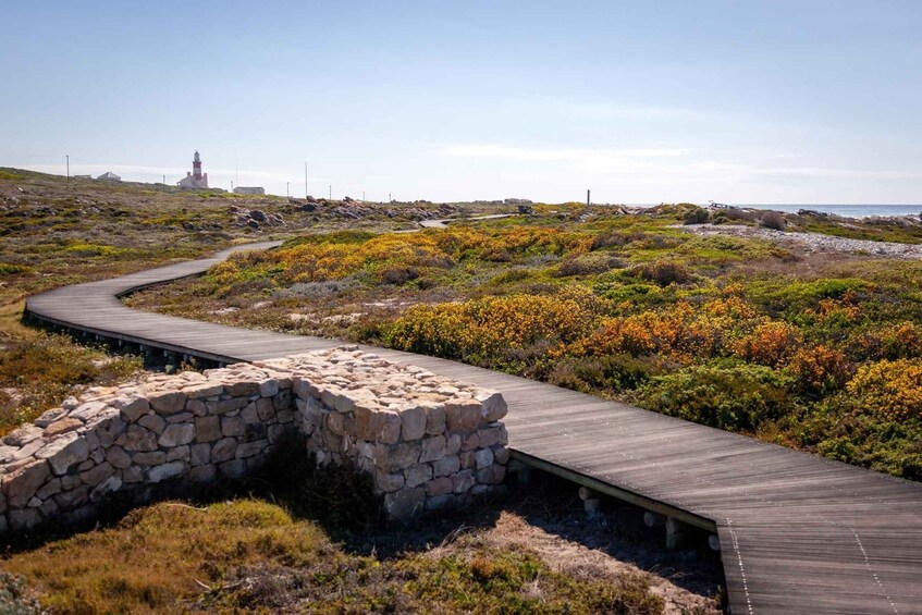 Picture 5 for Activity Cape Agulhas Full Day Tour | The Southernmost Tip of Africa