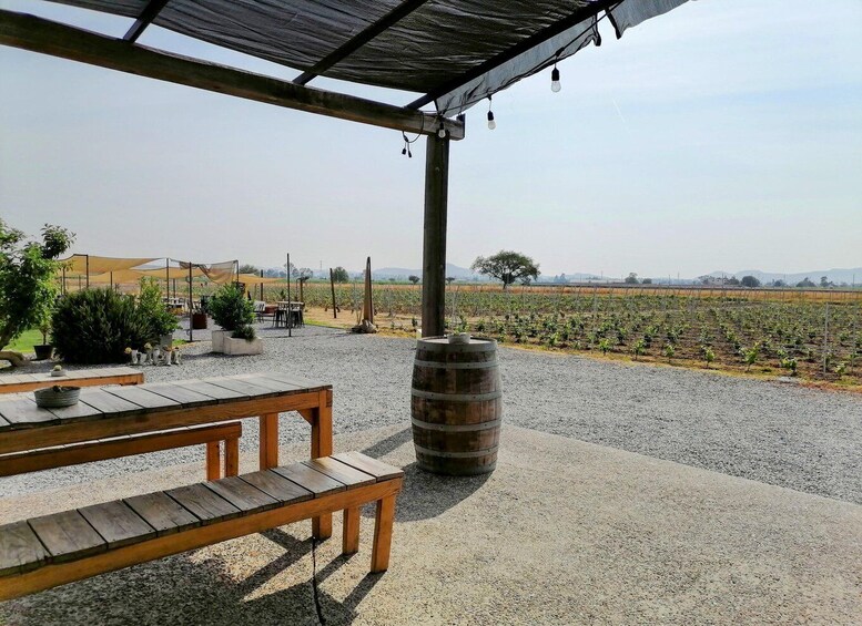 Picture 3 for Activity Querétaro: Bernal & Tequisquiapan Trip with Wine & Cheese