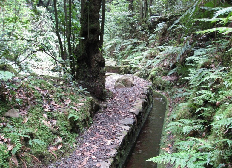 Picture 3 for Activity Hidden Corners, The Kings Levada Full day hike