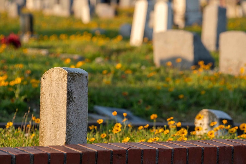 Picture 1 for Activity Galveston: Old City Cemetery Walking Tour with Local Guide