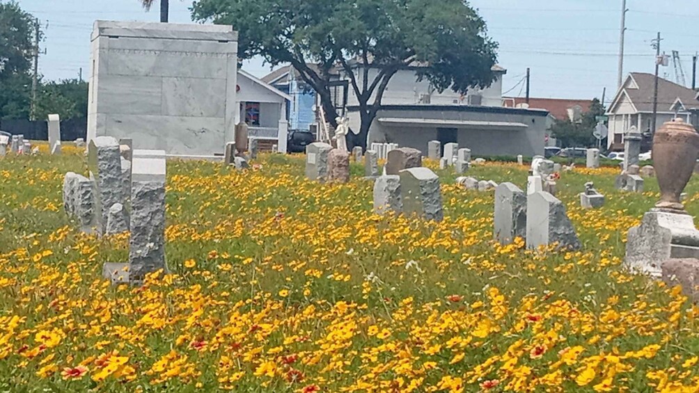 Picture 4 for Activity Galveston: Old City Cemetery Walking Tour with Local Guide
