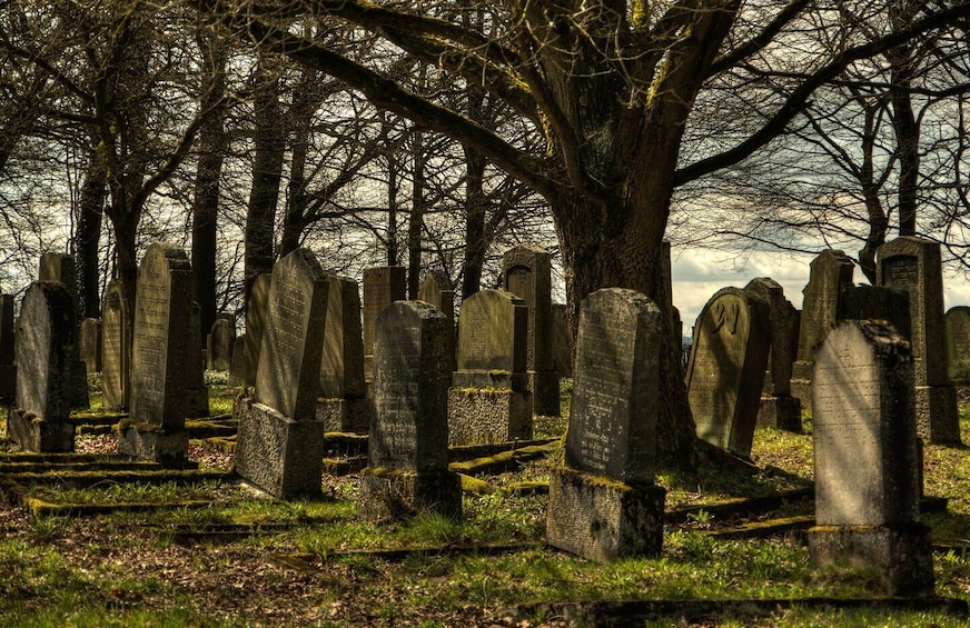 Galveston: Old City Cemetery Walking Tour with Local Guide